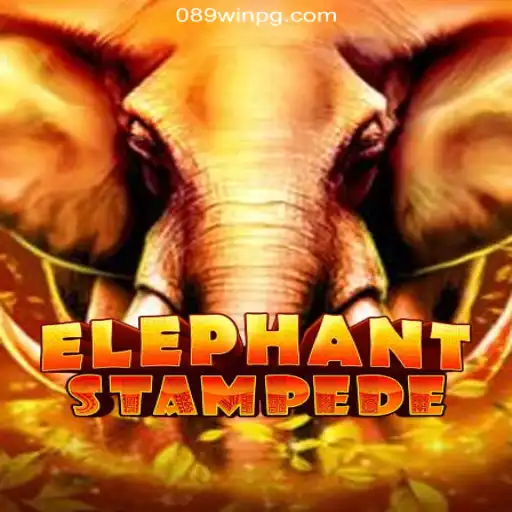 Dive Into Adventure with ElephantStampede
